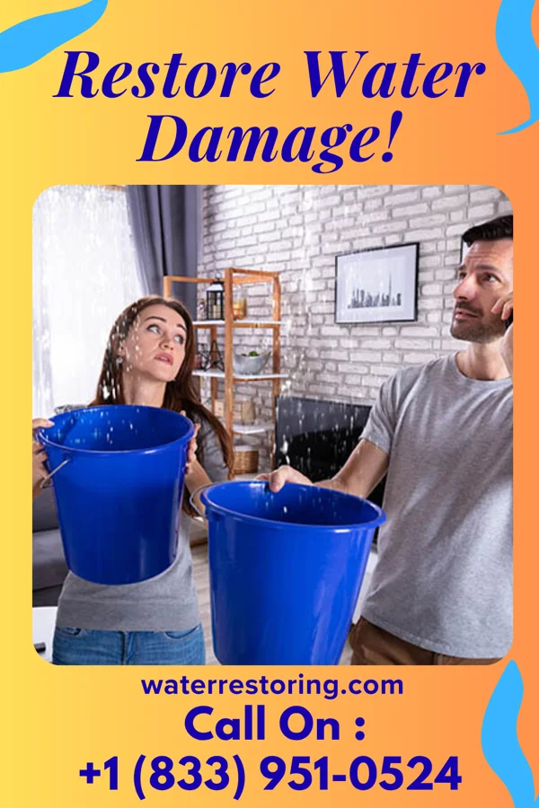 water restoration Rapid Water Damage Services Rudy