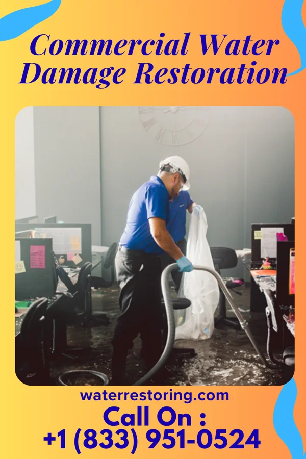 Commercial Water Damage Restoration in Rudy, AR